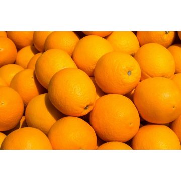 Taronja 