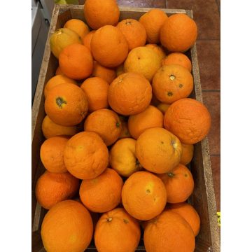 Menorca taronja de suc €/kg