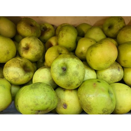 Menorca manzana de invierno (€/kg)